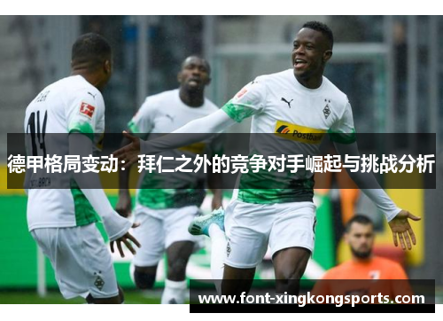 德甲格局变动：拜仁之外的竞争对手崛起与挑战分析