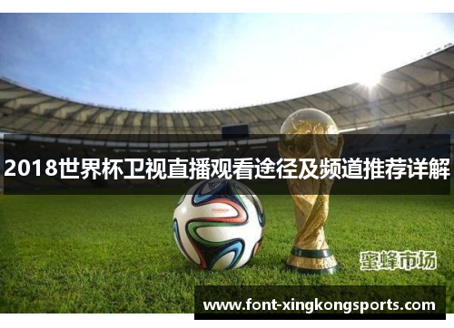 2018世界杯卫视直播观看途径及频道推荐详解